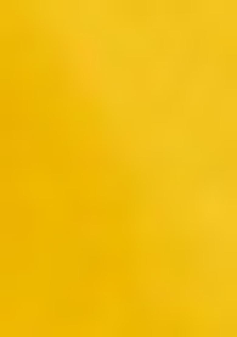 Yellow Embroidered Blouse Georgette Pre Draped Saree Set