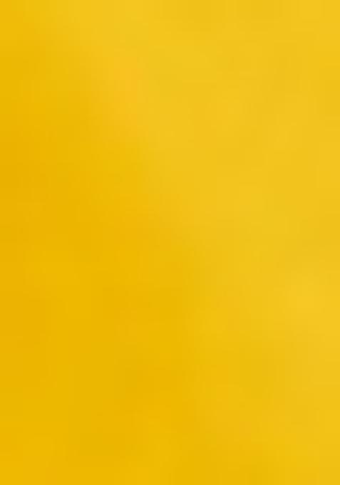 Yellow Embroidered Blouse Georgette Pre Draped Saree Set