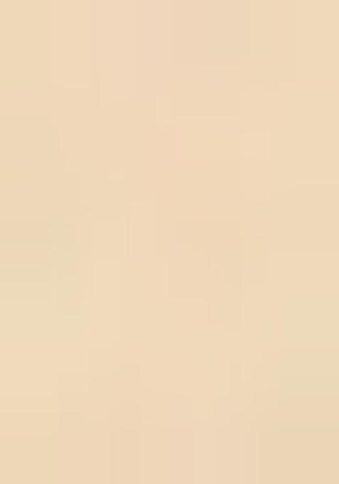 Beige Printed Chanderi Pre Draped Saree Set