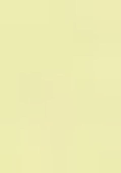 Yellow Printed Satin Pre Draped Saree Set