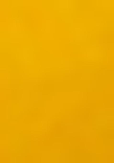 Yellow Printed Organza Pre Draped Saree Set