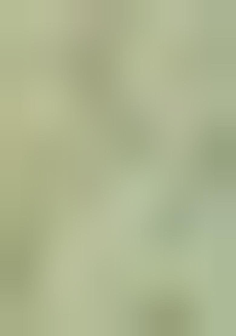 Green Embroidered Satin Pre Draped Saree Set