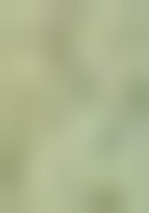 Green Embroidered Satin Pre Draped Saree Set