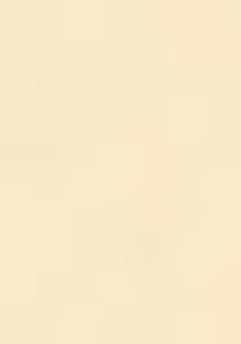 Yellow Zari Work Silk Pre Draped Saree Set