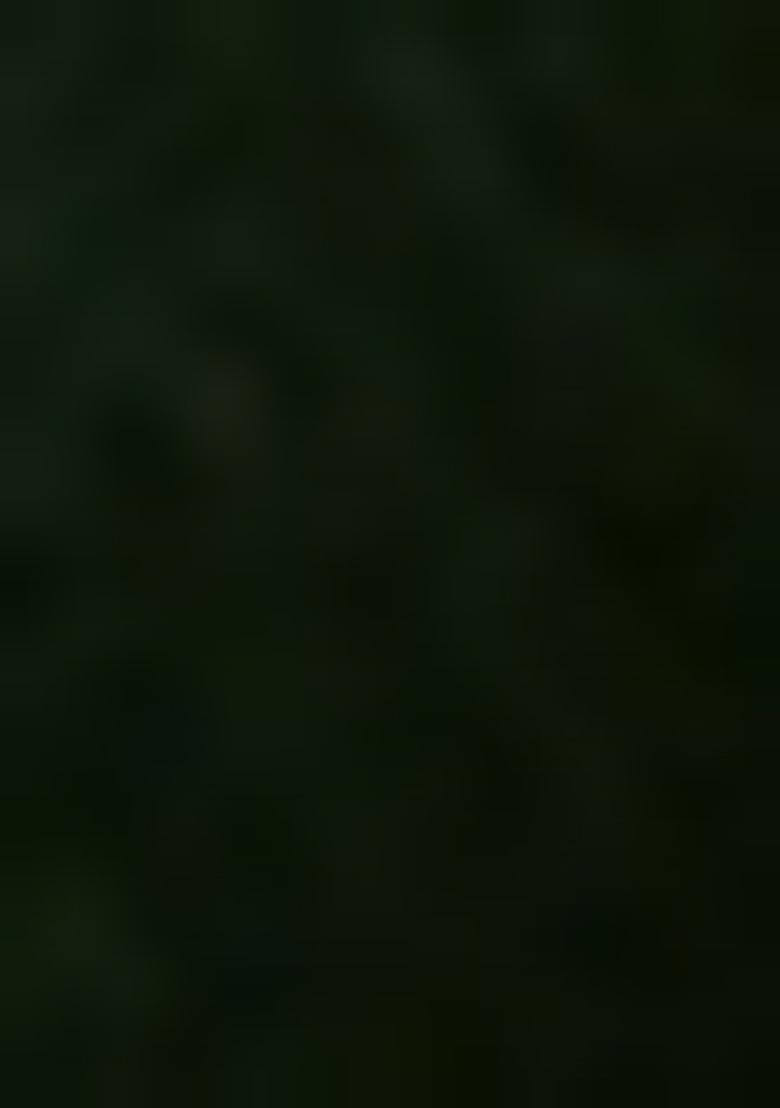 Green Sequin Tissue Pre Draped Saree Set