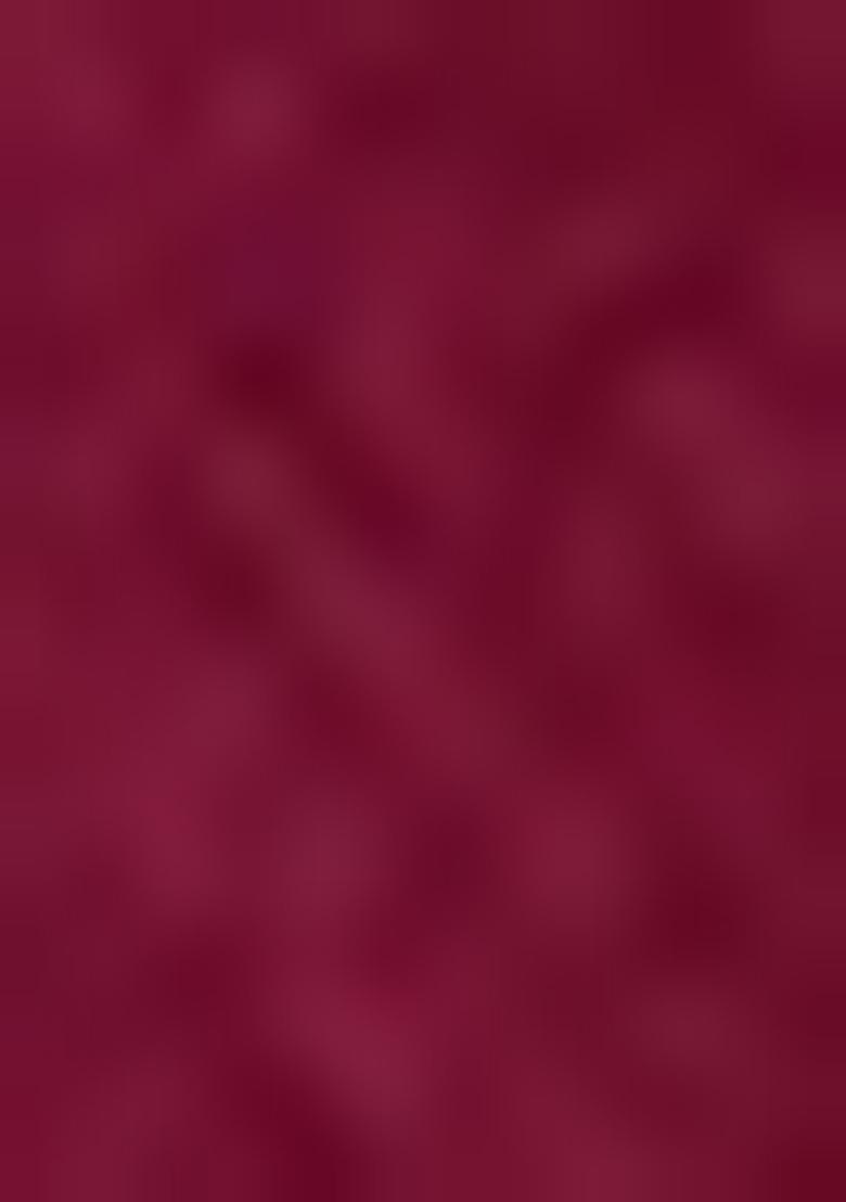 Wine Beaded Tissue Pre Draped Saree Set