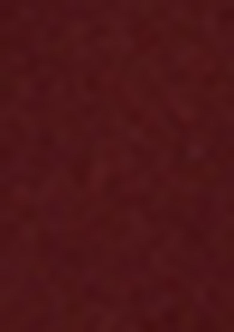 Red Embroidered Blouse Georgette Pre Draped Saree Set