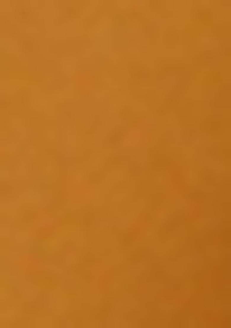 Orange Embroidered Blouse Georgette Pre Draped Saree Set