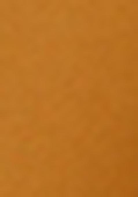 Orange Embroidered Blouse Georgette Pre Draped Saree Set