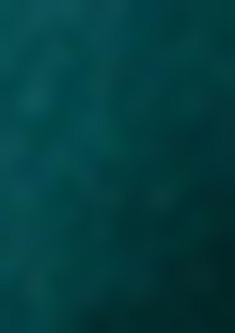 Blue Sequin Embroidered Blouse Georgette Pre Draped Saree Set - Indya