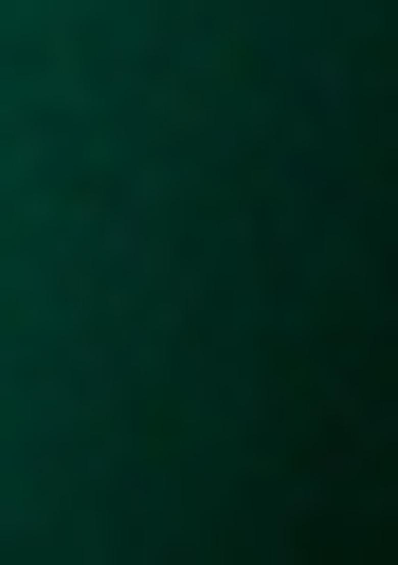 Green Embroidered Blouse Georgette Pre Draped Saree Set