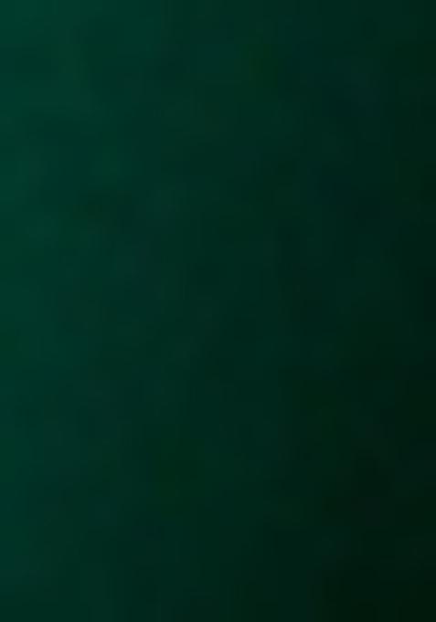 Green Embroidered Blouse Georgette Pre Draped Saree Set