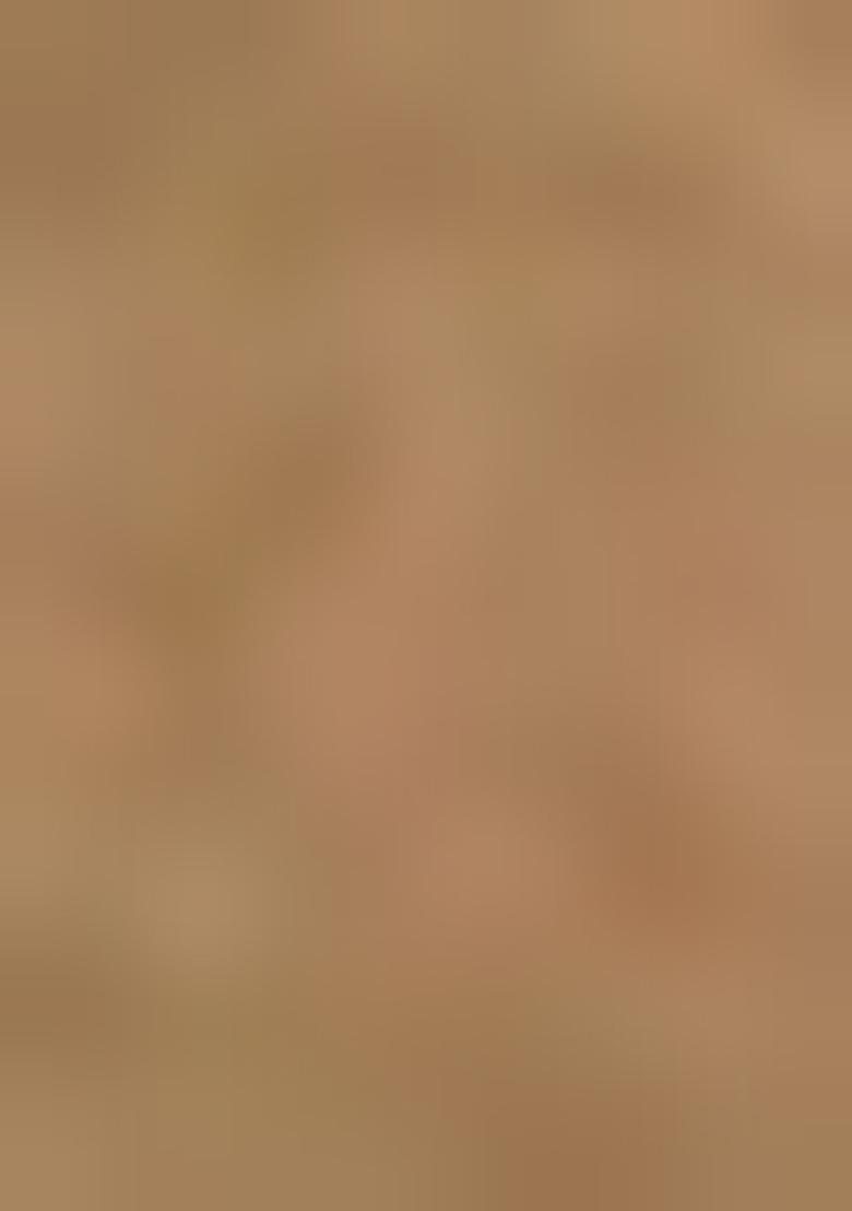 Green Printed Organza Pre Draped Saree Set