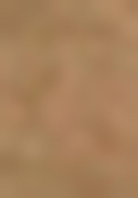 Green Printed Organza Pre Draped Saree Set