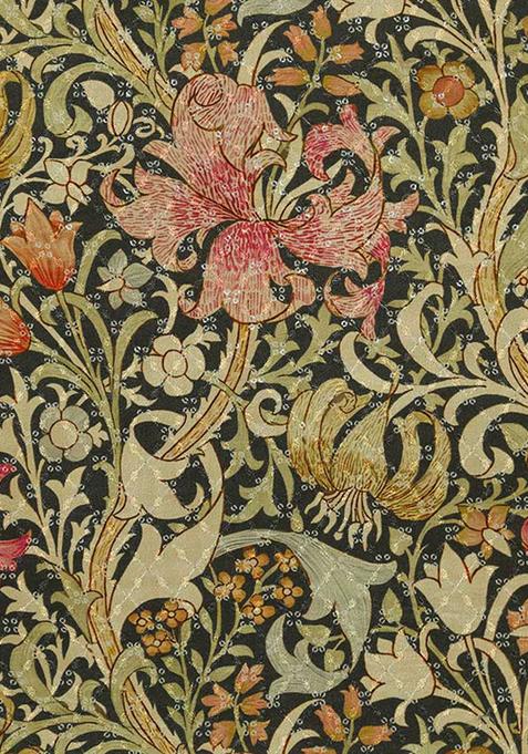 Black Embroidered Chiffon Pre Draped Saree Set