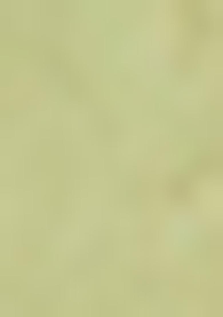 Green Embroidered Linen Pre Draped Saree Set