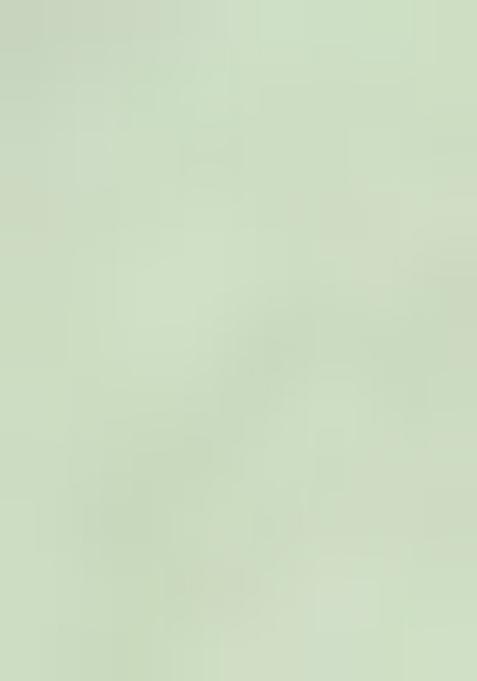 White Printed Linen Pre Draped Saree Set