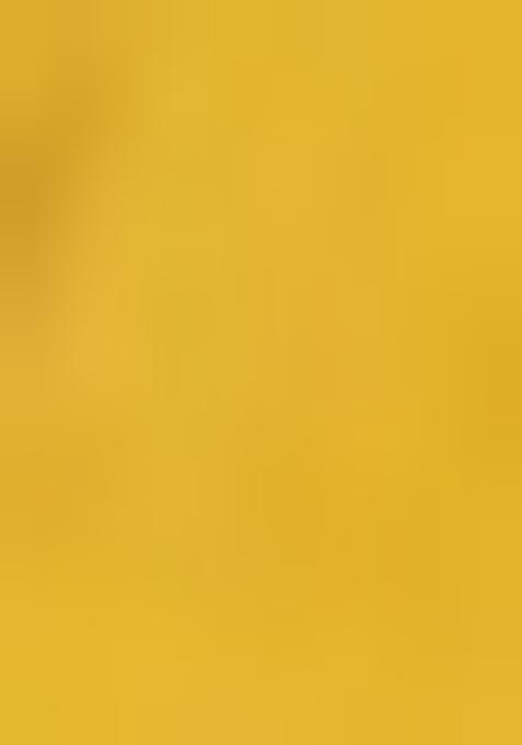 Yellow Printed Crepe Pre Draped Saree Set