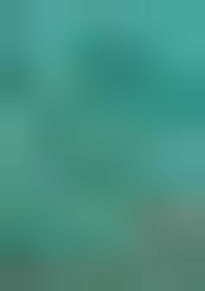 Sea Green Printed Satin Pre Draped Saree Set