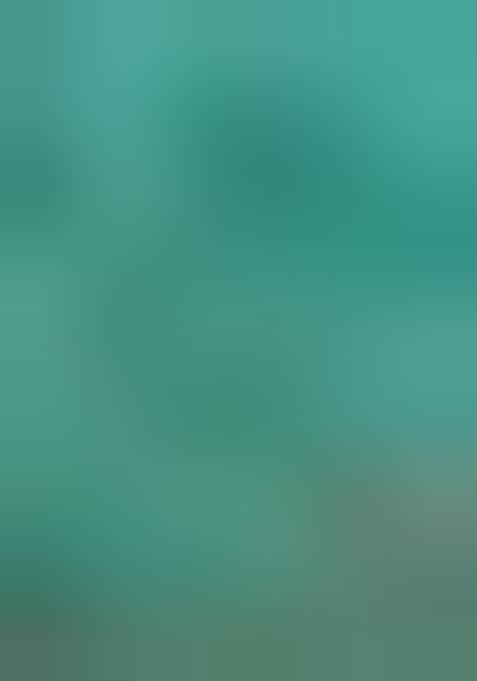 Sea Green Printed Satin Pre Draped Saree Set