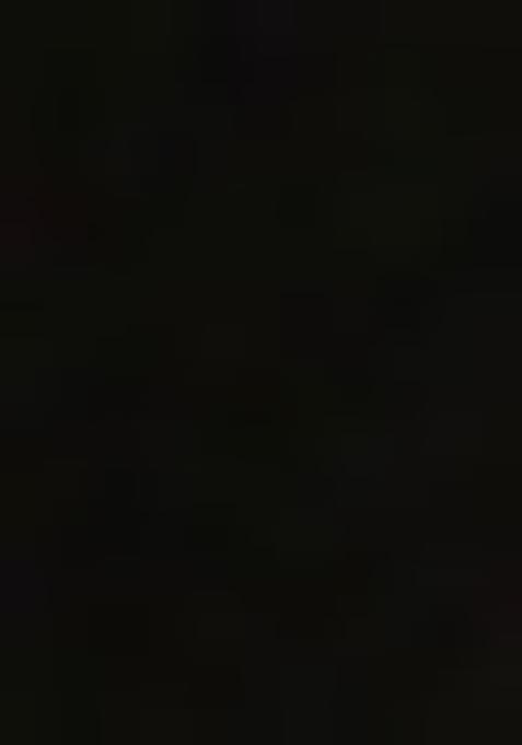 Black Brocade Pre Draped Saree Set