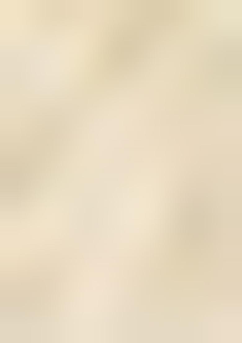 Beige Printed Crepe Pre Draped Saree Set