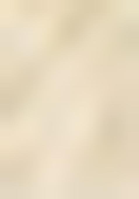 Beige Printed Crepe Pre Draped Saree Set