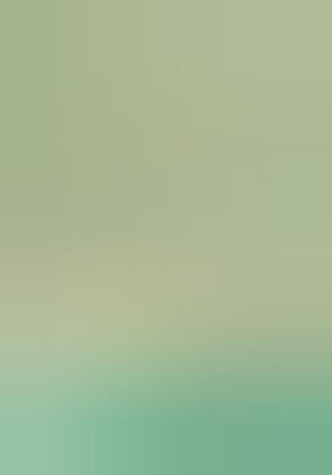 Sea Green Printed Chinon Chiffon Pre Draped Saree Set