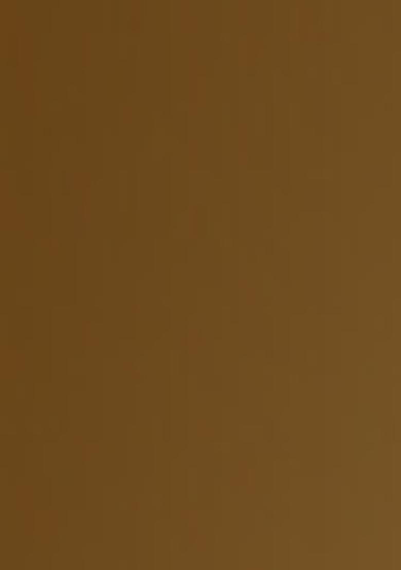 Black And Golden Sequined Embellished Georgette Pre Draped Saree Set - Indya