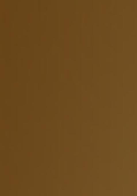 Black And Golden Sequined Embellished Georgette Pre Draped Saree Set