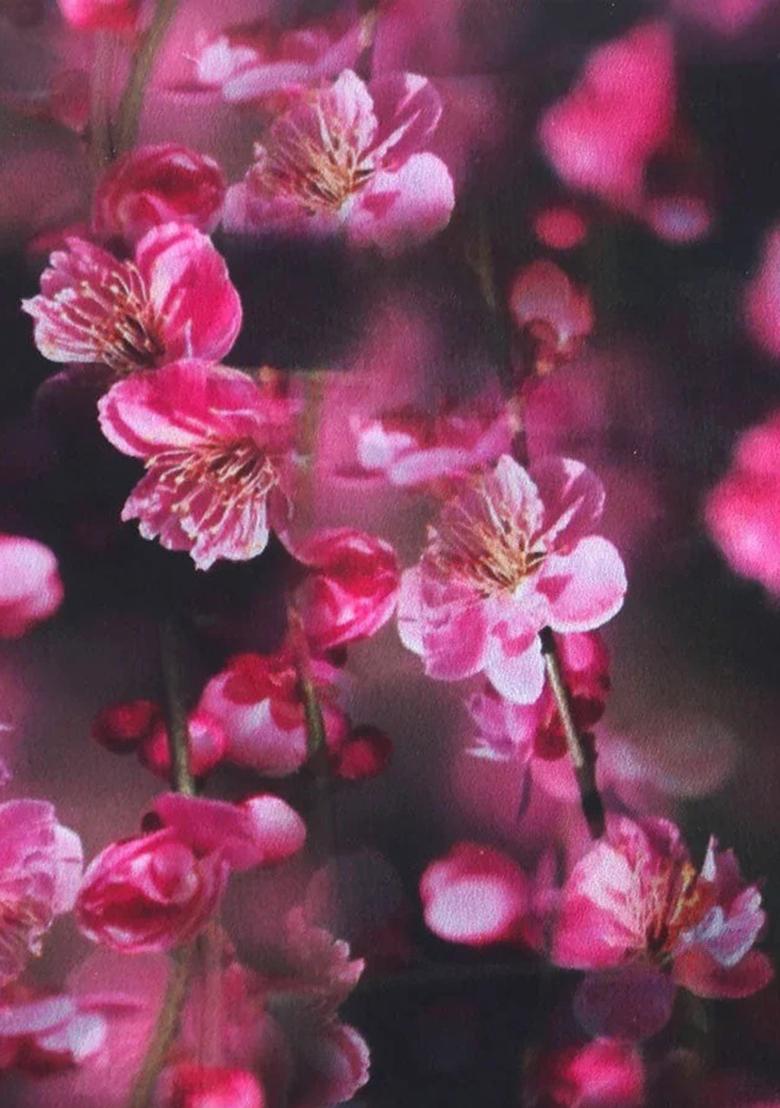 Black Printed Georgette Pre Draped Saree Set - Indya