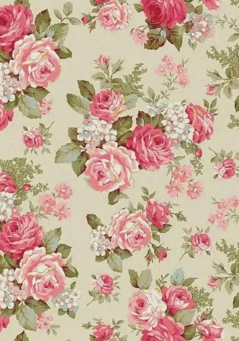 Off White Printed Silk Pre Draped Saree Set