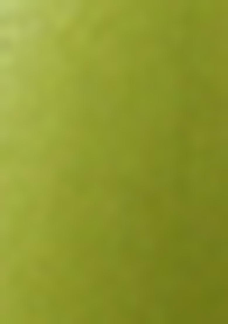 Lime Green Solid Organza Pre Draped Saree Set