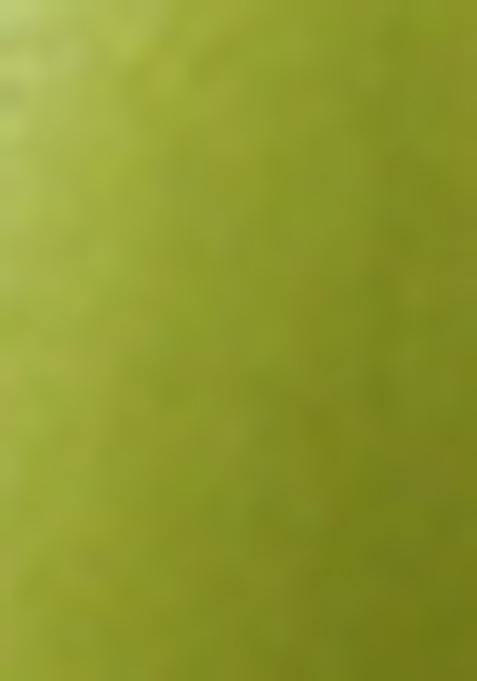 Lime Green Solid Organza Pre Draped Saree Set