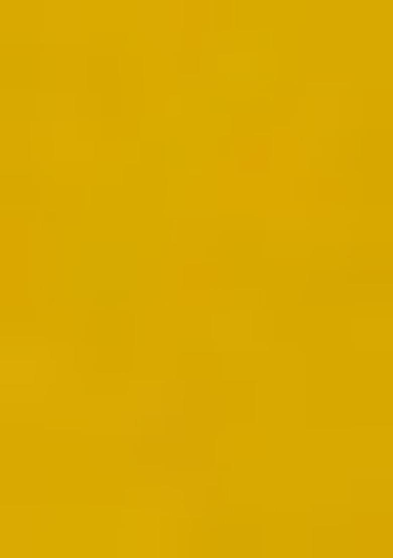 Yellow Embroidered Blouse Organza Pre Draped Saree Set