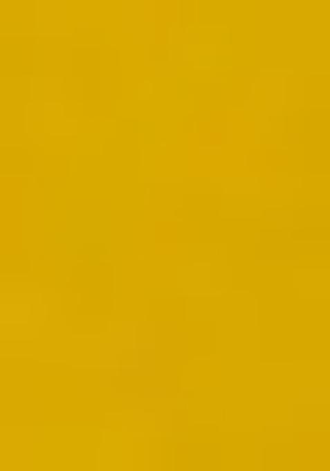 Yellow Embroidered Blouse Organza Pre Draped Saree Set