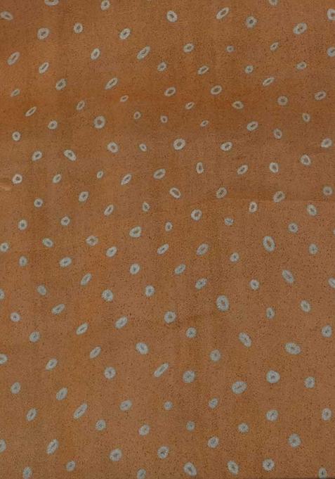 Orange Printed Organza Pre Draped Saree Set