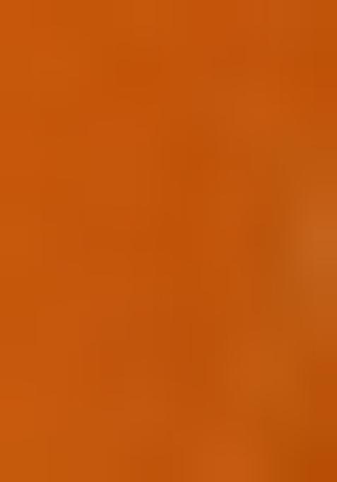 Orange Printed Organza Pre Draped Saree Set