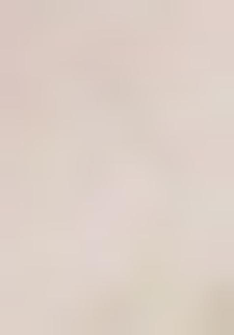 White Printed Organza Pre Draped Saree