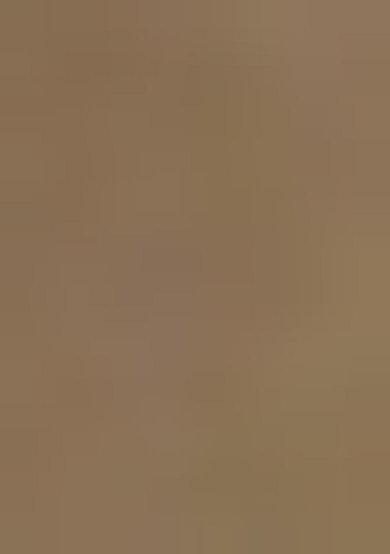 Brown Printed Organza Pre Draped Saree Set