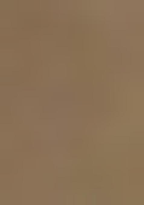 Brown Printed Organza Pre Draped Saree Set