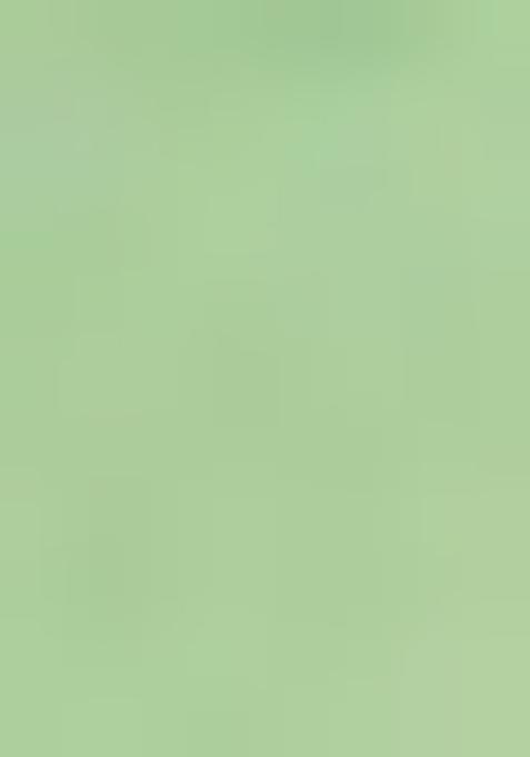 Green Printed Organza Pre Draped Saree Set