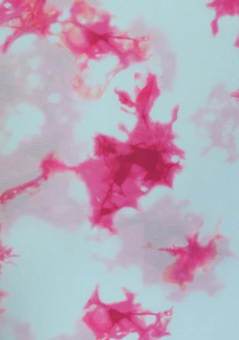 White And Pink Printed Satin Pre Draped Saree Set - Indya