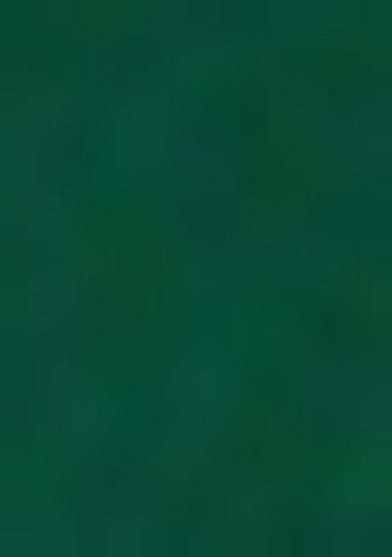 Green Sequin Embellished Blouse Chinon Pre Draped Saree Set