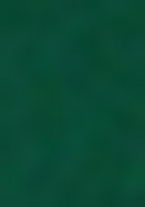 Green Sequin Embellished Blouse Chinon Pre Draped Saree Set