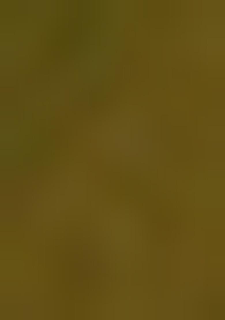 Green Embellished Blouse Georgette Pre Draped Saree Set