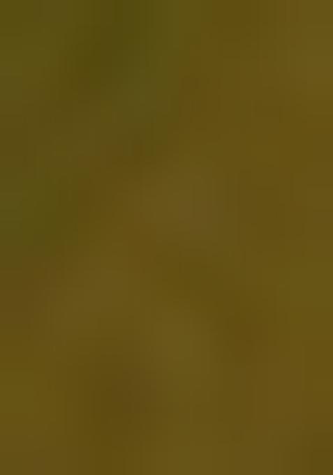 Green Embellished Blouse Georgette Pre Draped Saree Set