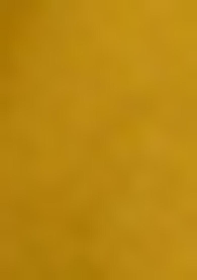 Yellow Embellished Blouse Georgette Pre Draped Saree Set