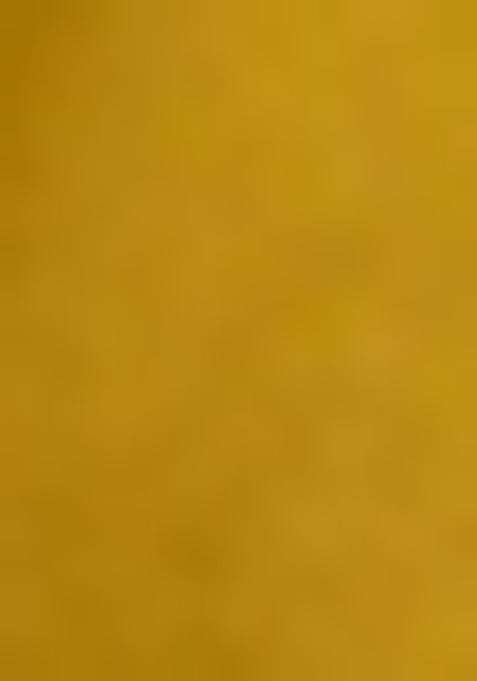 Yellow Embellished Blouse Georgette Pre Draped Saree Set