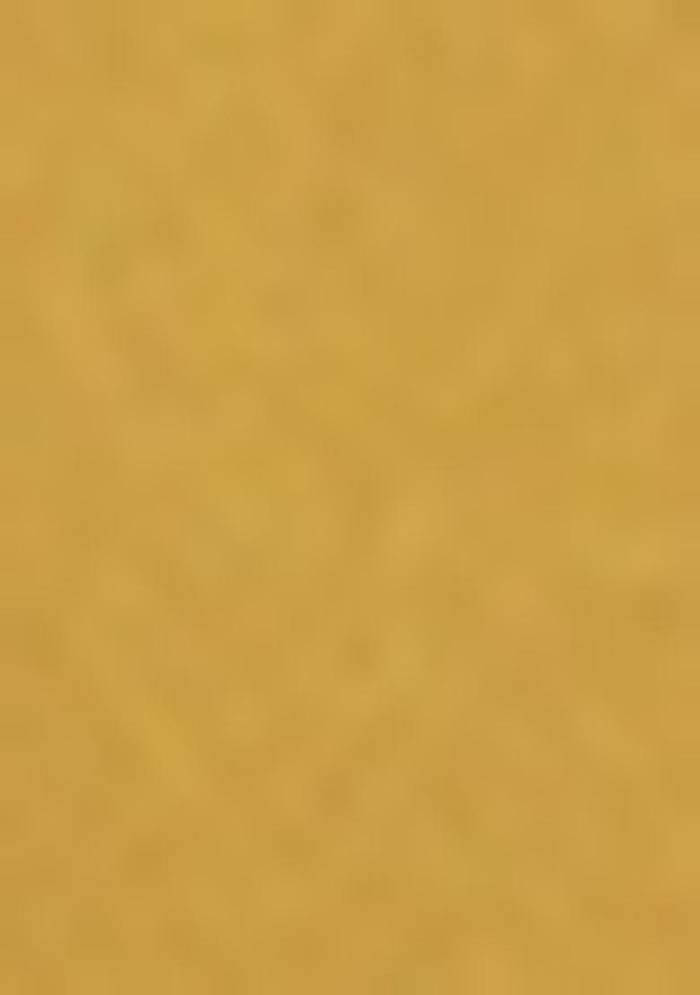 Golden Embellished Georgette Pre Draped Saree Set